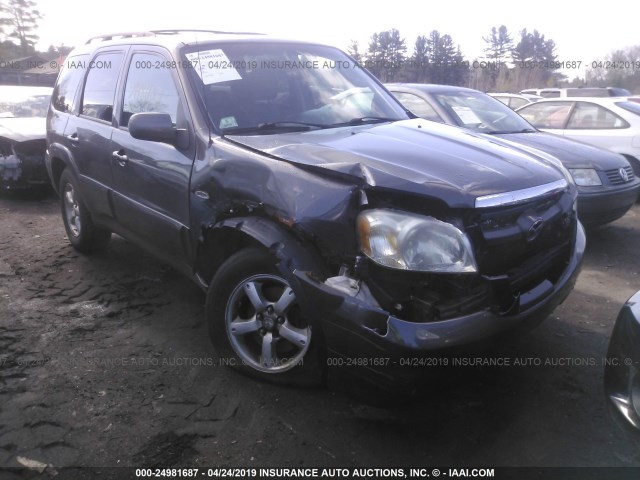 4F2CZ94116KM19501 - 2006 MAZDA TRIBUTE S GRAY photo 1