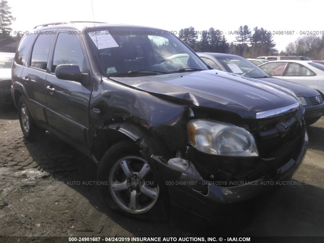 4F2CZ94116KM19501 - 2006 MAZDA TRIBUTE S GRAY photo 6