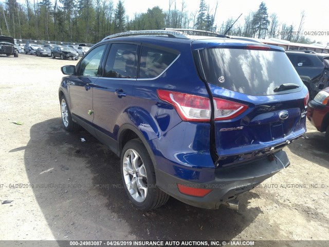 1FMCU9J96DUA94138 - 2013 FORD ESCAPE TITANIUM BLUE photo 3