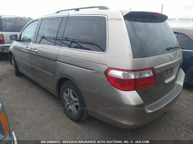 5FNRL38605B416437 - 2005 HONDA ODYSSEY EXL GOLD photo 3