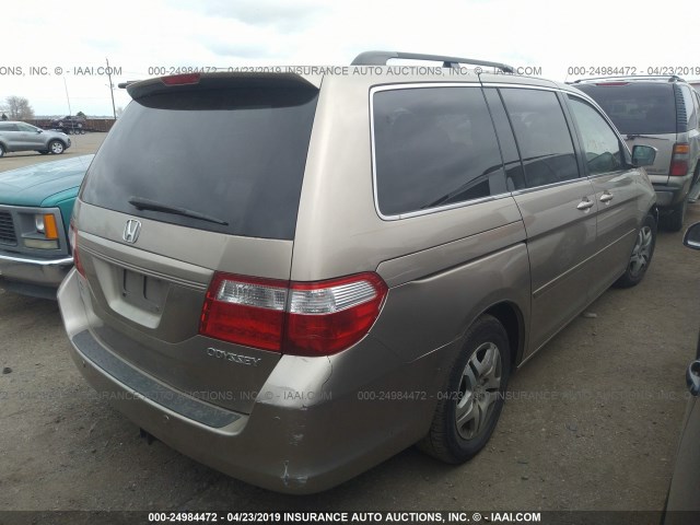 5FNRL38605B416437 - 2005 HONDA ODYSSEY EXL GOLD photo 4