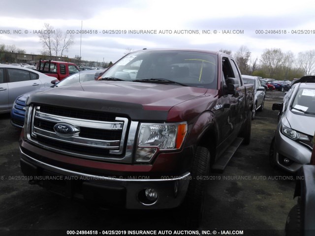 1FTEX1EM7EKE86353 - 2014 FORD F150 SUPER CAB BROWN photo 2