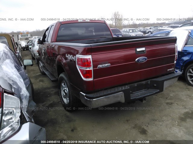 1FTEX1EM7EKE86353 - 2014 FORD F150 SUPER CAB BROWN photo 3