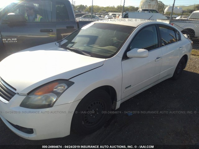 1N4CL21E27C208647 - 2007 NISSAN ALTIMA HYBRID WHITE photo 2