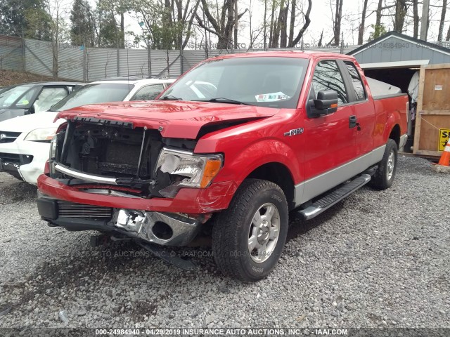 1FTFX1EV5AFA18170 - 2010 FORD F150 SUPER CAB RED photo 2