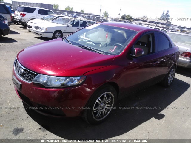 KNAFU4A2XA5061010 - 2010 KIA FORTE EX RED photo 2