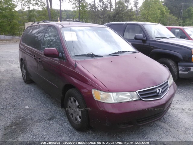 5FNRL18973B009744 - 2003 HONDA ODYSSEY EXL MAROON photo 1