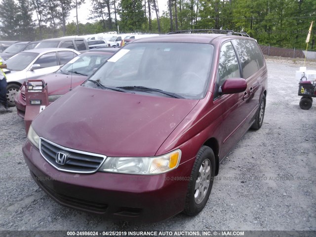 5FNRL18973B009744 - 2003 HONDA ODYSSEY EXL MAROON photo 2