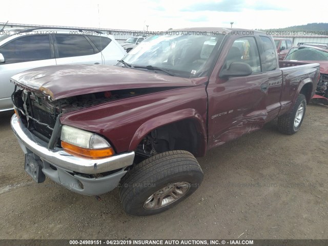 1B7GG42N62S520298 - 2002 DODGE DAKOTA SLT MAROON photo 2