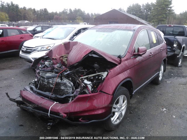 JHLRE4H72BC006601 - 2011 HONDA CR-V EXL RED photo 2