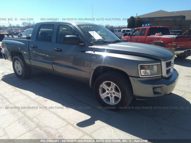 1D7RW3GP7BS686013 - 2011 DODGE DAKOTA SLT GRAY photo 1