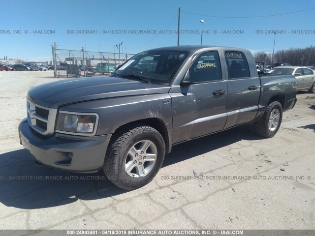 1D7RW3GP7BS686013 - 2011 DODGE DAKOTA SLT GRAY photo 2