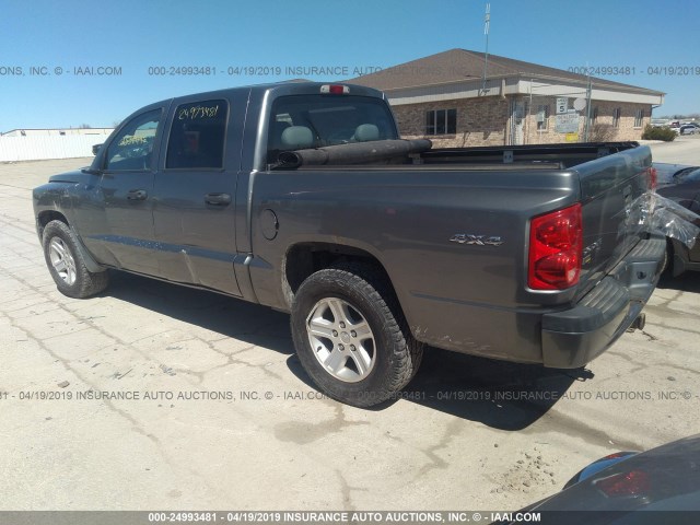 1D7RW3GP7BS686013 - 2011 DODGE DAKOTA SLT GRAY photo 3