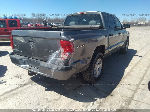 1D7RW3GP7BS686013 - 2011 DODGE DAKOTA SLT GRAY photo 4