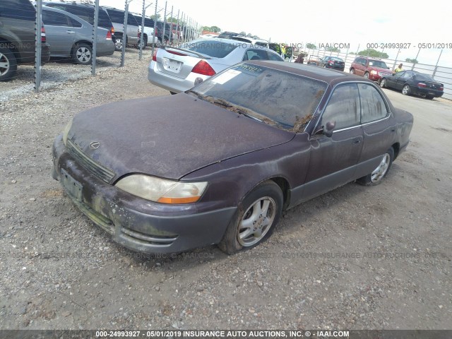 JT8VK13TXP0140349 - 1993 LEXUS ES 300 PURPLE photo 2