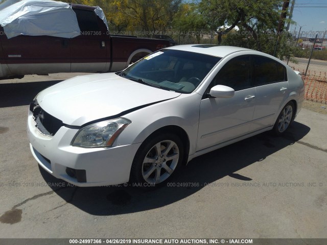 1N4BA41E98C823629 - 2008 NISSAN MAXIMA SE/SL WHITE photo 2