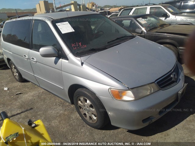 5FNRL18743B029142 - 2003 HONDA ODYSSEY EXL SILVER photo 1