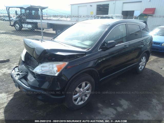 JHLRE48787C118181 - 2007 HONDA CR-V EXL BLACK photo 2