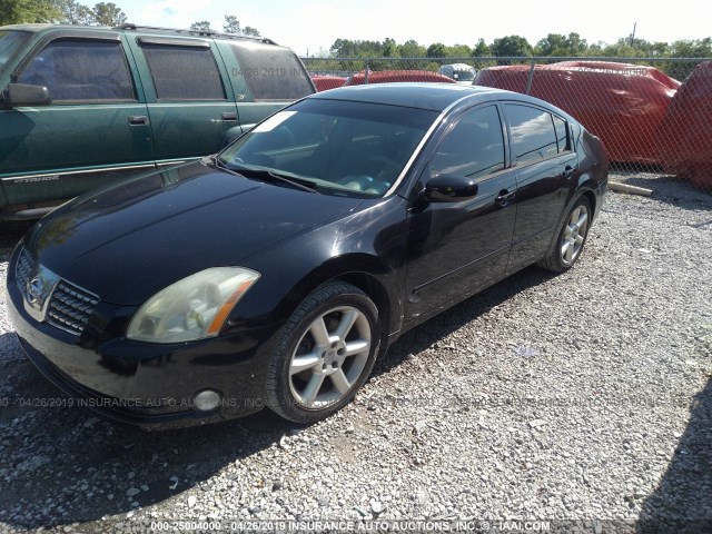 1N4BA41E35C877407 - 2005 NISSAN MAXIMA SE/SL BLACK photo 2