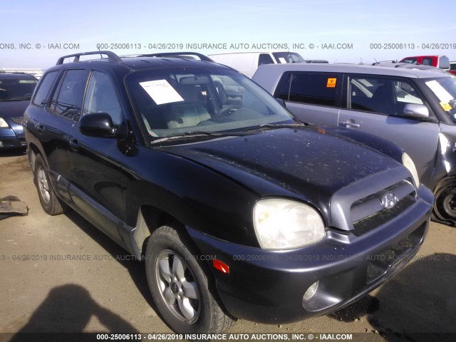 KM8SC13D65U935877 - 2005 HYUNDAI SANTA FE GLS/LX BLACK photo 1