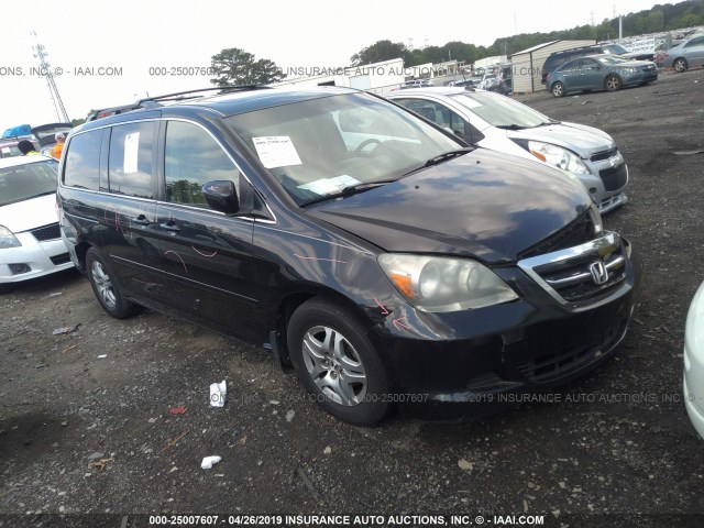 5FNRL38605B029256 - 2005 HONDA ODYSSEY EXL BLACK photo 1