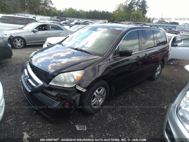 5FNRL38605B029256 - 2005 HONDA ODYSSEY EXL BLACK photo 2