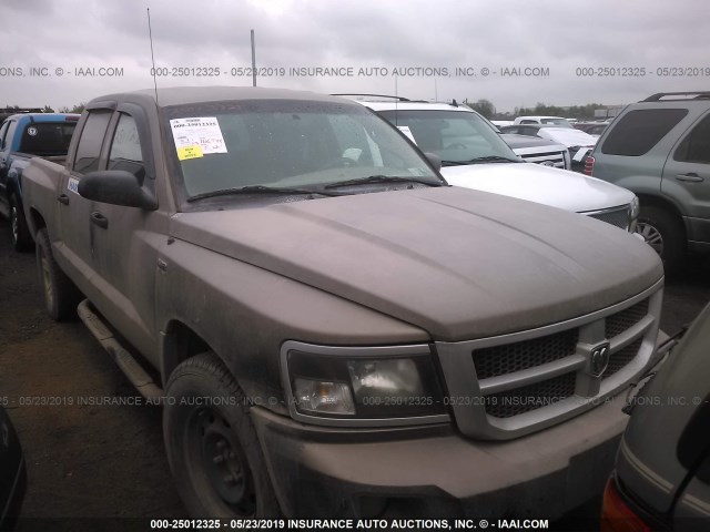 1D7CE3GP5AS188528 - 2010 DODGE DAKOTA SXT GOLD photo 1