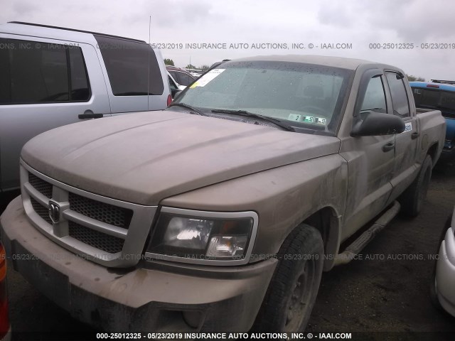 1D7CE3GP5AS188528 - 2010 DODGE DAKOTA SXT GOLD photo 2