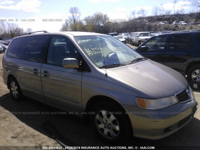 5FNRL18963B013526 - 2003 HONDA ODYSSEY EXL GOLD photo 1