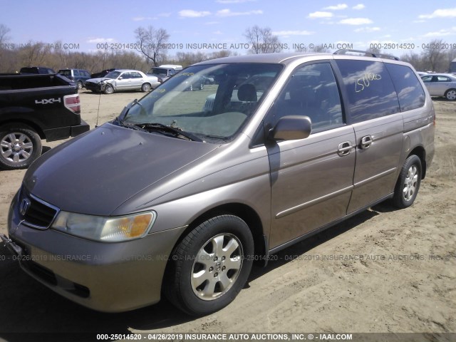 5FNRL18963B013526 - 2003 HONDA ODYSSEY EXL GOLD photo 2