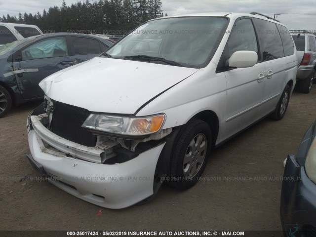 5FNRL18964B137961 - 2004 HONDA ODYSSEY EXL WHITE photo 2