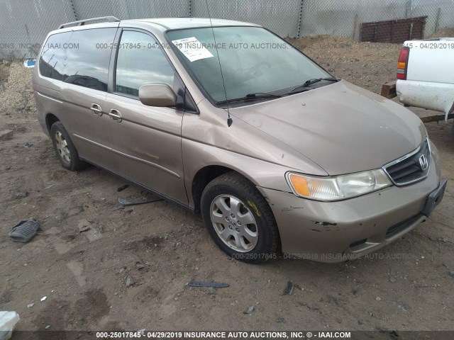 5FNRL18004B148925 - 2004 HONDA ODYSSEY EXL GOLD photo 1