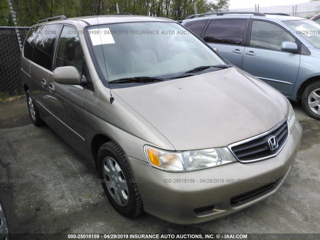 5FNRL18084B017810 - 2004 HONDA ODYSSEY EXL GOLD photo 1