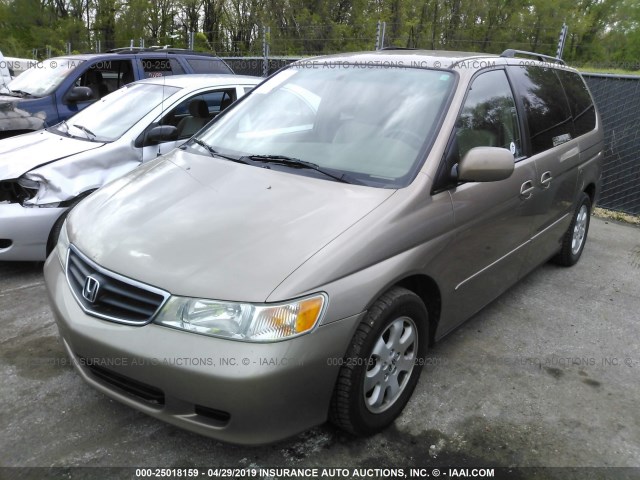 5FNRL18084B017810 - 2004 HONDA ODYSSEY EXL GOLD photo 2