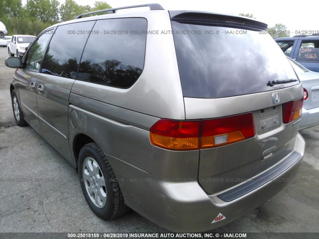 5FNRL18084B017810 - 2004 HONDA ODYSSEY EXL GOLD photo 3