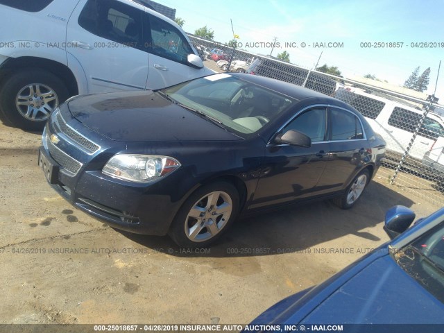 1G1ZB5E19BF208533 - 2011 CHEVROLET MALIBU LS BLUE photo 2