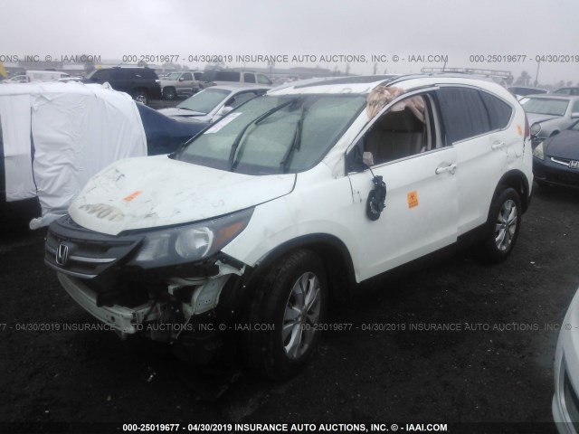 5J6RM3H74DL024850 - 2013 HONDA CR-V EXL WHITE photo 2