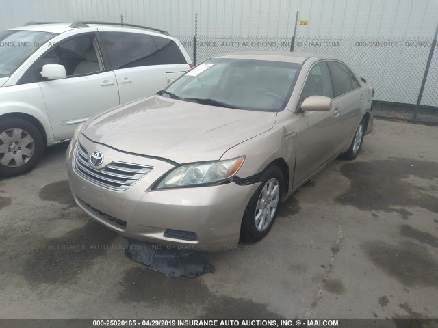 4T1BB46K09U089251 - 2009 TOYOTA CAMRY HYBRID GOLD photo 2