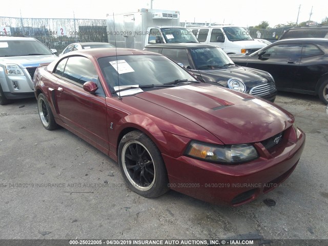 1FAFP48Y13F372719 - 2003 FORD MUSTANG COBRA SVT RED photo 1