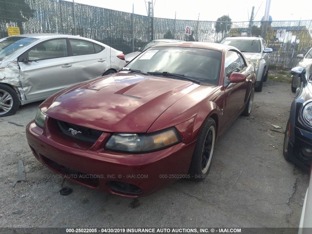 1FAFP48Y13F372719 - 2003 FORD MUSTANG COBRA SVT RED photo 2