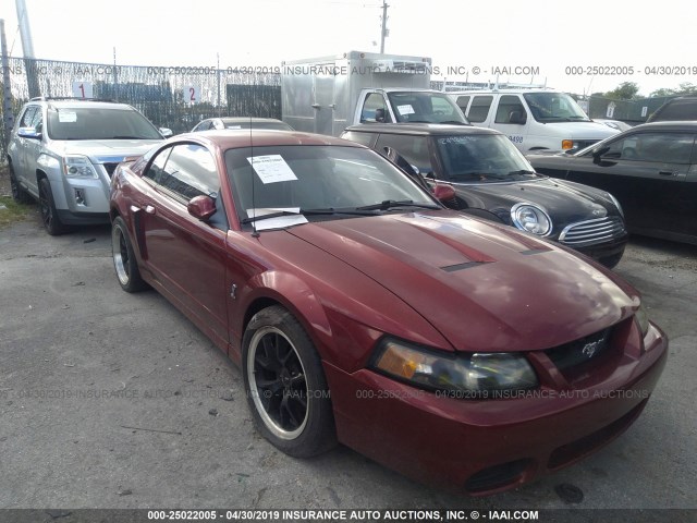 1FAFP48Y13F372719 - 2003 FORD MUSTANG COBRA SVT RED photo 6