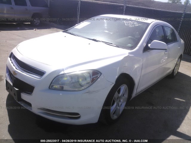 1G1ZC5EB8AF238921 - 2010 CHEVROLET MALIBU 1LT 白色 照片 2