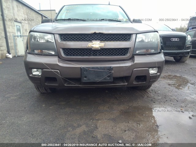 1GNDT13SX82150068 - 2008 CHEVROLET TRAILBLAZER LS/LT BROWN photo 6