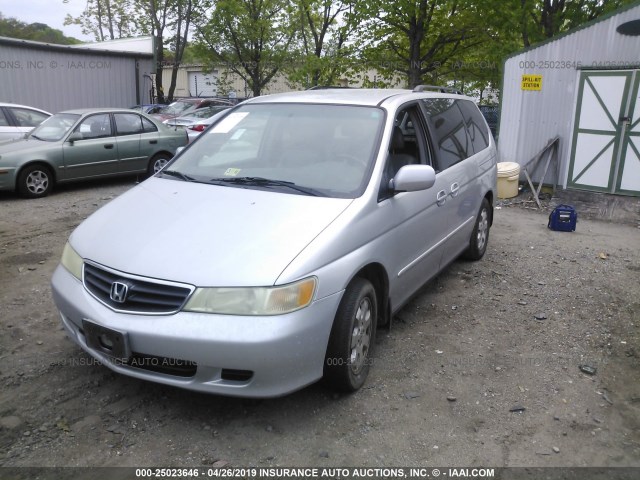 5FNRL18064B150081 - 2004 HONDA ODYSSEY EXL SILVER photo 2