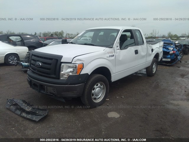 1FTEX1EM8CFB56582 - 2012 FORD F150 SUPER CAB WHITE photo 2