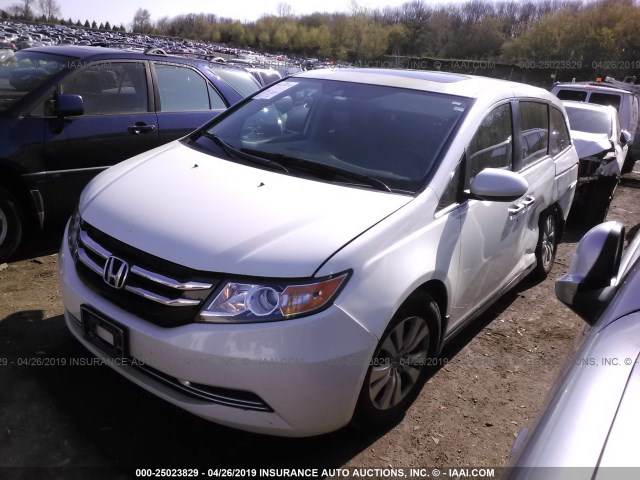 5FNRL5H62EB027746 - 2014 HONDA ODYSSEY EXL WHITE photo 2