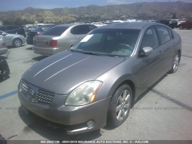 1N4BA41E54C832726 - 2004 NISSAN MAXIMA SE/SL GRAY photo 2