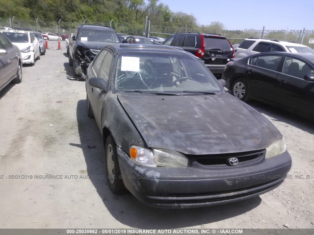 1NXBR12E9XZ272428 - 1999 TOYOTA COROLLA VE/CE/LE GREEN photo 6