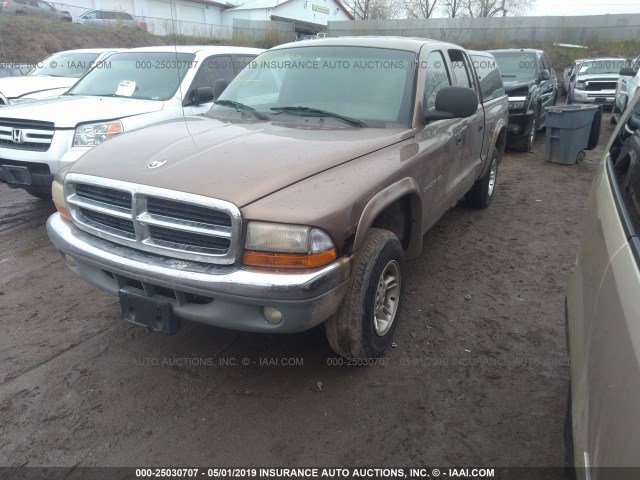 1B7GG2AN8YS698714 - 2000 DODGE DAKOTA QUAD GOLD photo 2