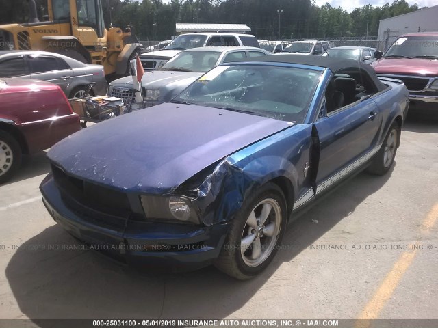 1ZVFT84N075240925 - 2007 FORD MUSTANG BLUE photo 2